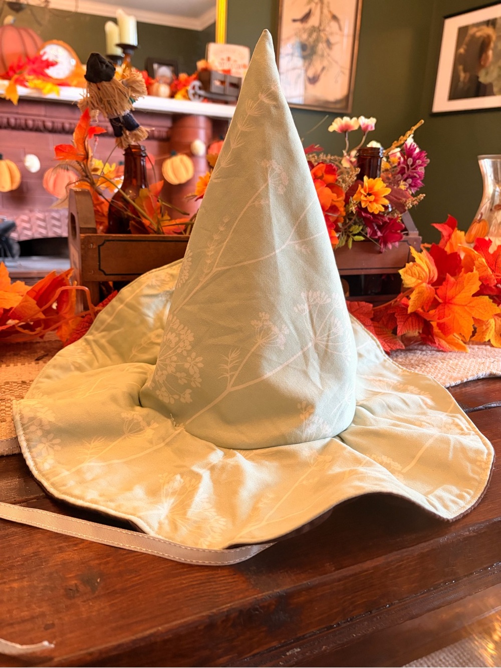 Light Sage Green Witch Hat Costume Accessory - Unbranded